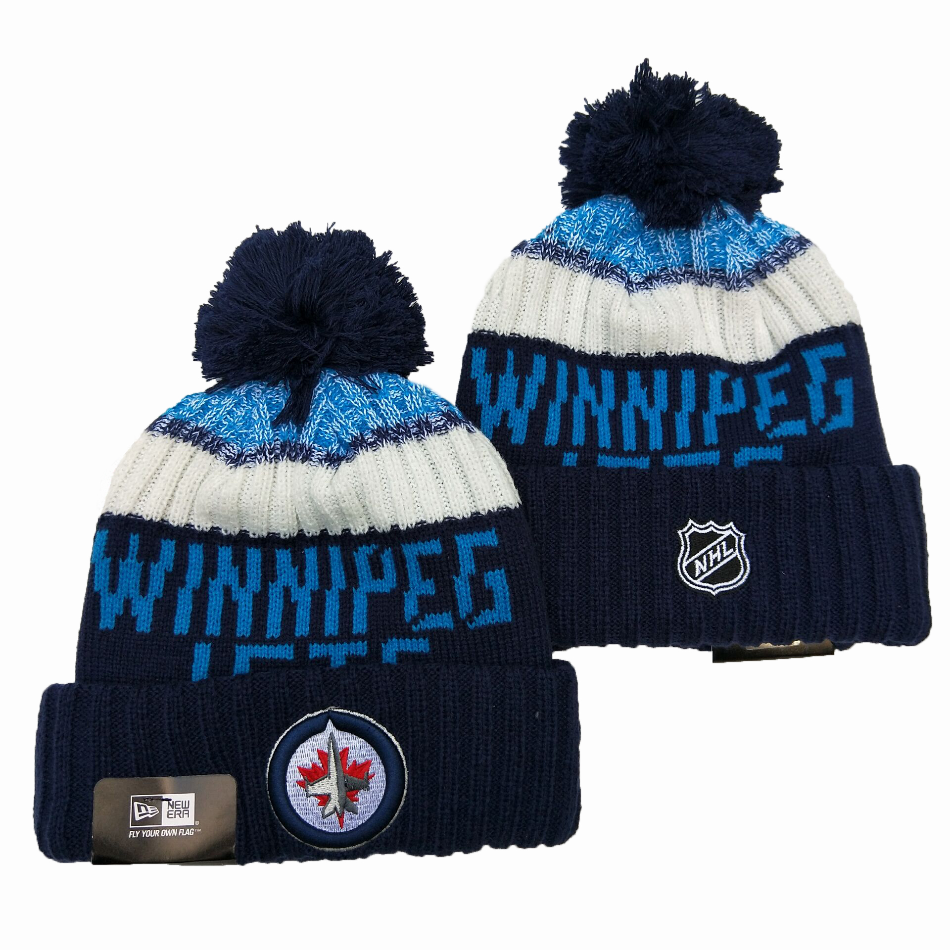 Winnipeg Jets Team Logo Black Pom Knit Hat YD