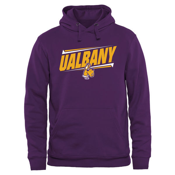 Albany Great Danes Team Logo Purple College Pullover Hoodie4