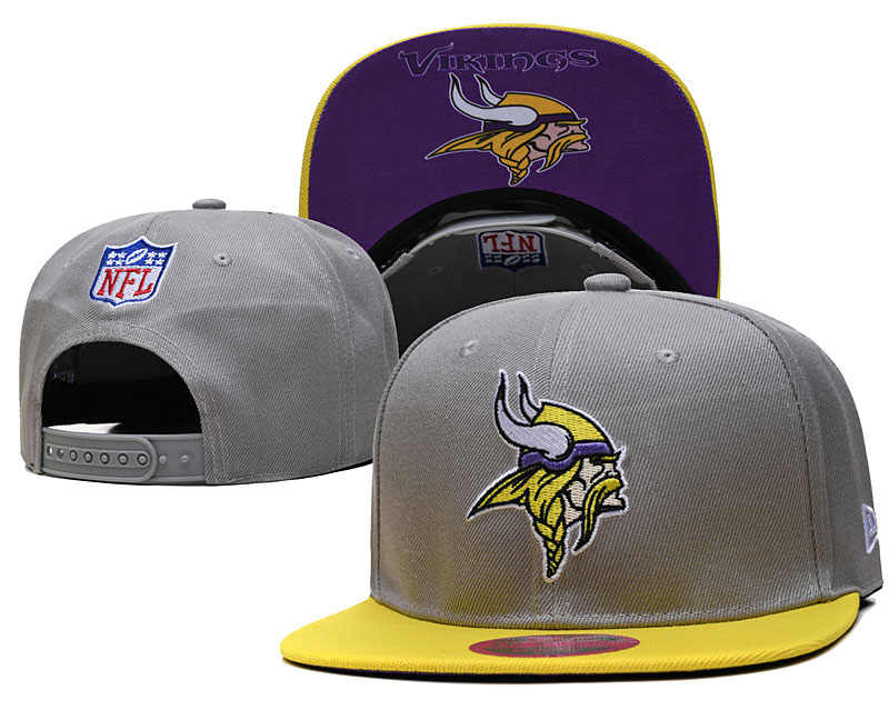 Vikings Team Logo Gray Adjustable Hat TX
