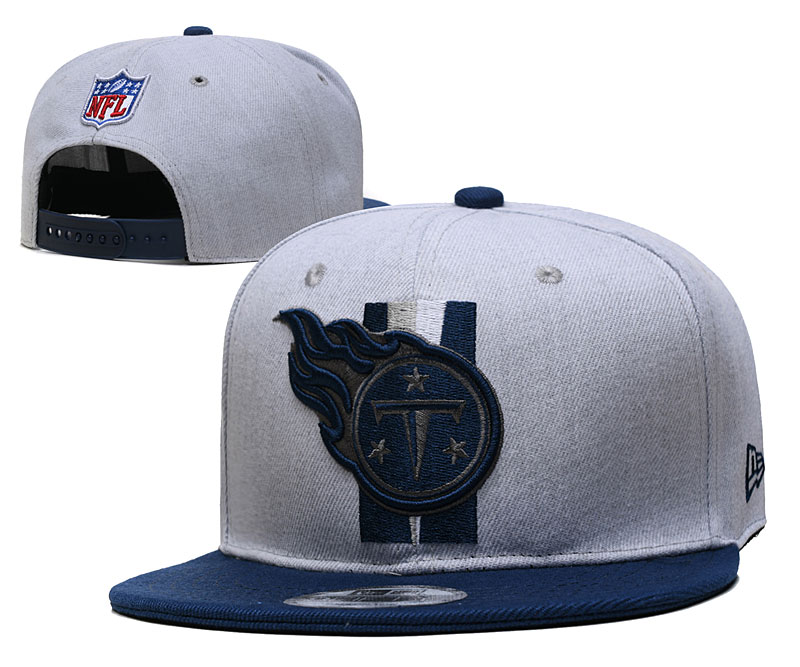 Titans Team Logo Gray Adjustable Hat YD